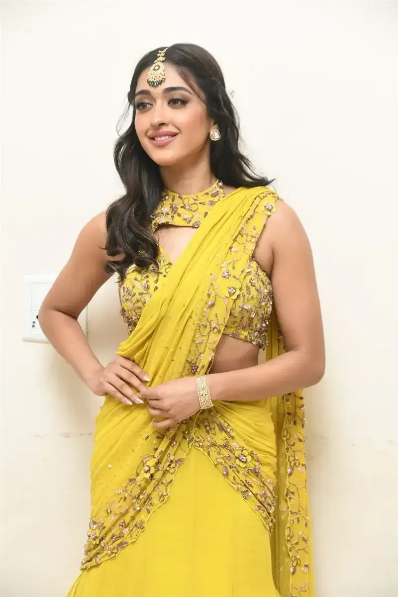 Actress Gayatri Bhardwaj Yellow Saree Tiger Nageswara Rao Movie